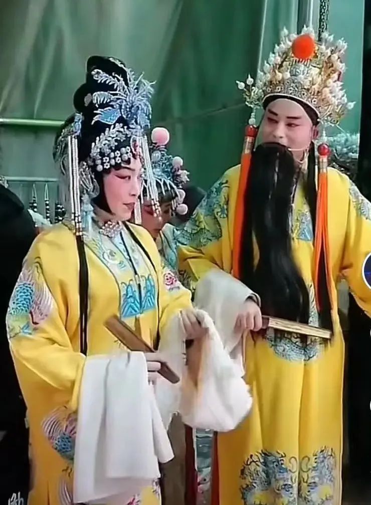 鼎点登录：被网暴的「春晚明星」